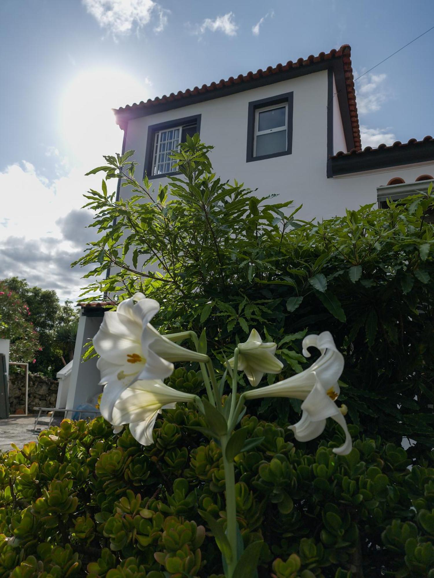Loving Strangers Hostel Madalena  Luaran gambar